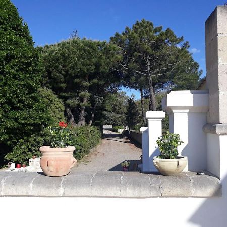 B&B Trulli E Mare Мартина Франка Екстериор снимка